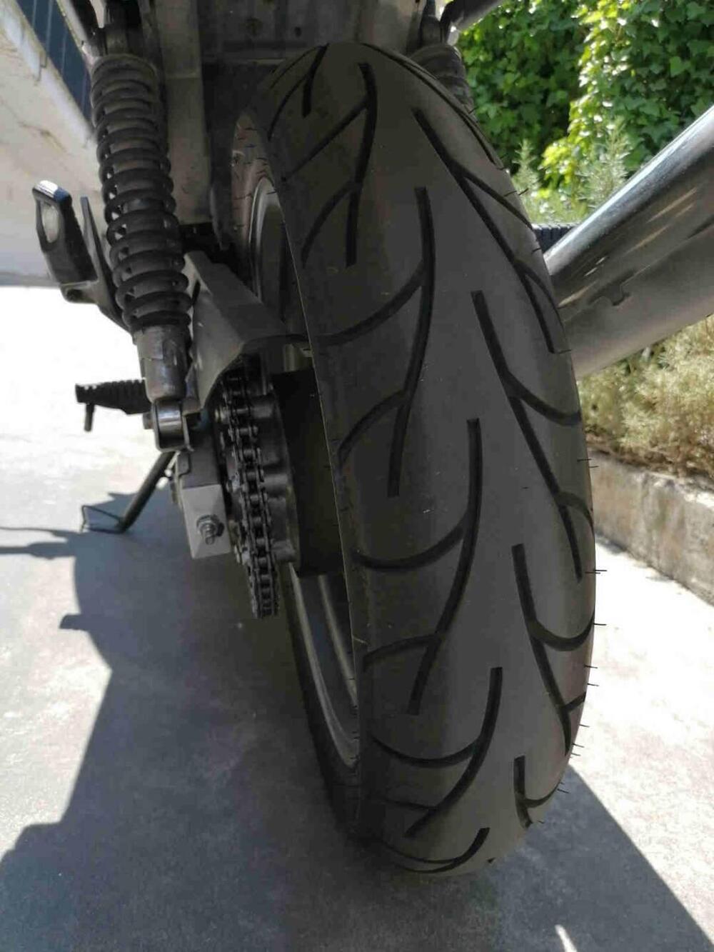 Kawasaki ER-5 500 (2001 - 06) (5)