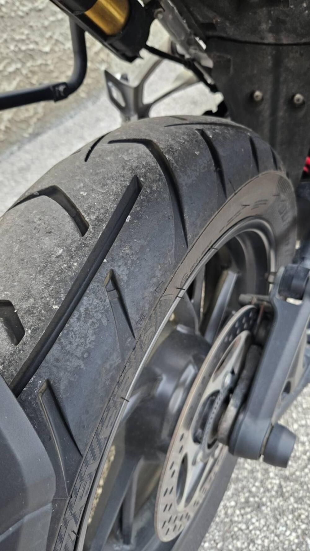 Triumph Tiger 1200 GT Pro (2022 - 23) (7)