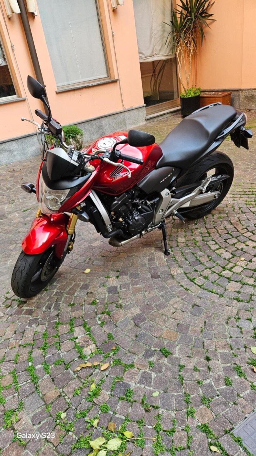 Honda Hornet 600 (2007 - 10)