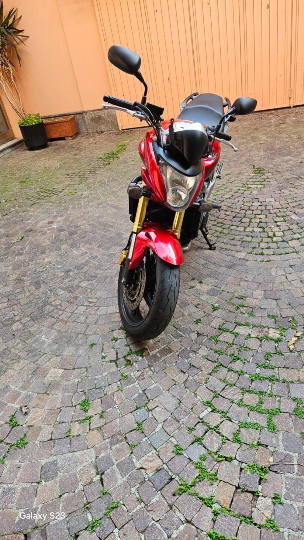 Honda Hornet 600 (2007 - 10) (2)