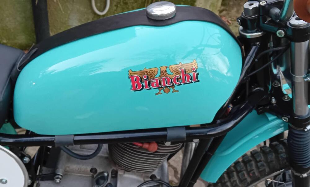 Bianchi Cross 420  (6)