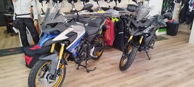 Voge Valico 525DSX (2023 - 26) usata