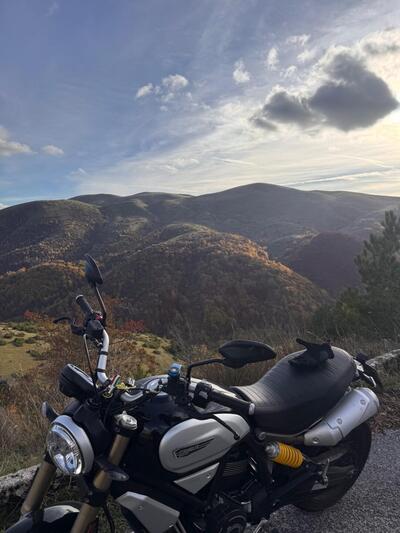 Ducati Scrambler 1100 Sport (2018 - 20) usata