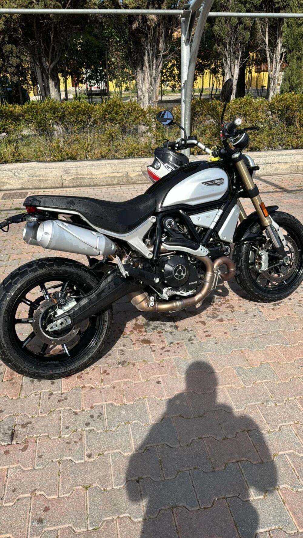 Ducati Scrambler 1100 Sport (2018 - 20) (6)