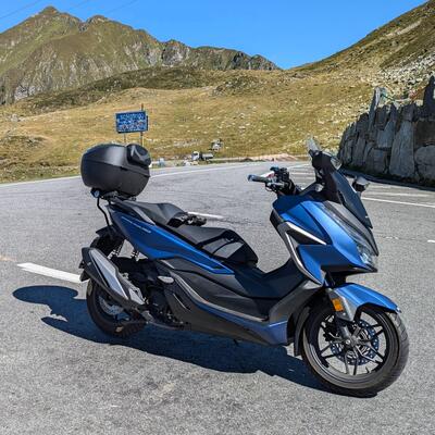 Honda Forza 350 (2022 - 24) usata