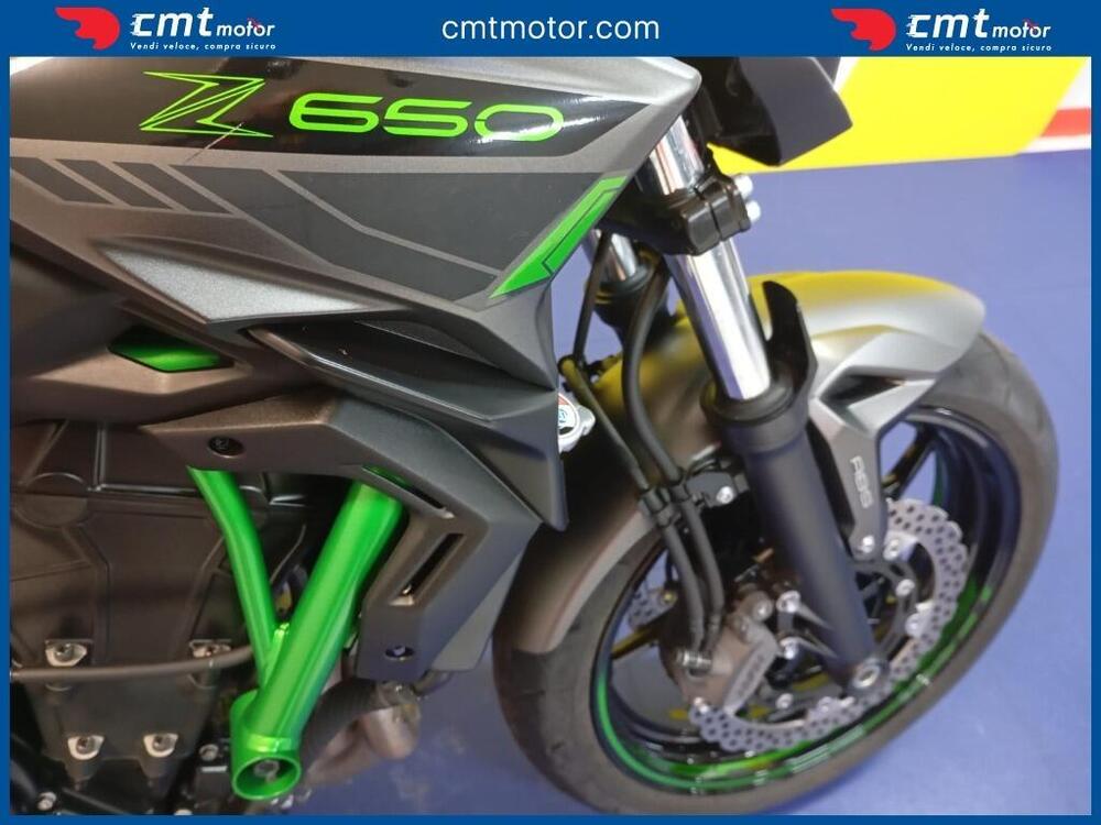 Kawasaki Z 650 (2021 - 24) (8)