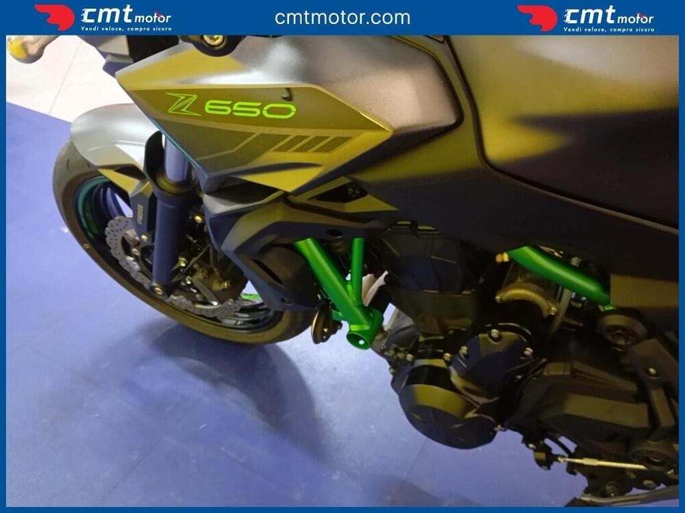 Kawasaki Z 650 (2021 - 24) (12)