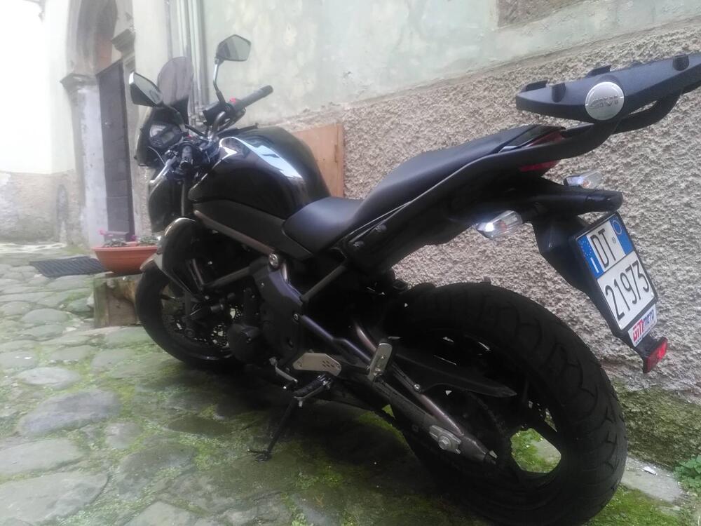 Kawasaki ER-6N (2009 - 11) (7)