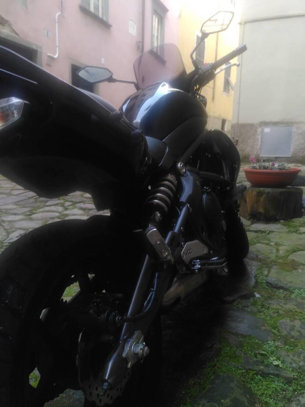 Kawasaki ER-6N (2009 - 11) (8)