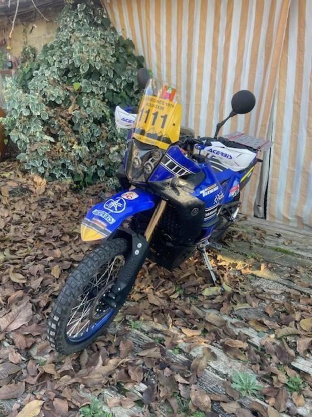 Yamaha Ténéré 700 World Raid (2022 - 25)