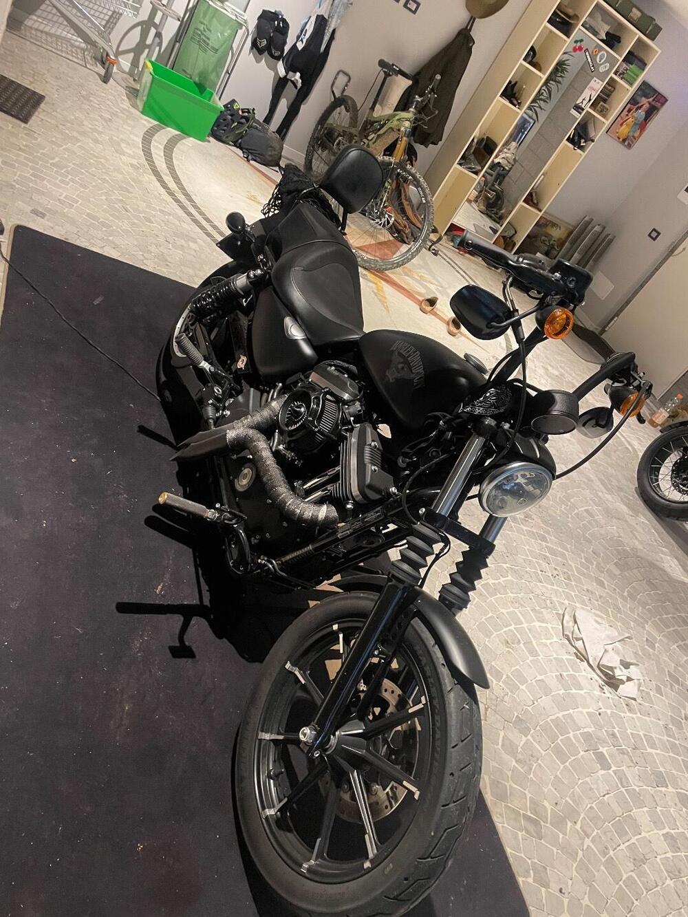 Harley-Davidson 883 Iron (2017 - 20) - XL 883N (2)