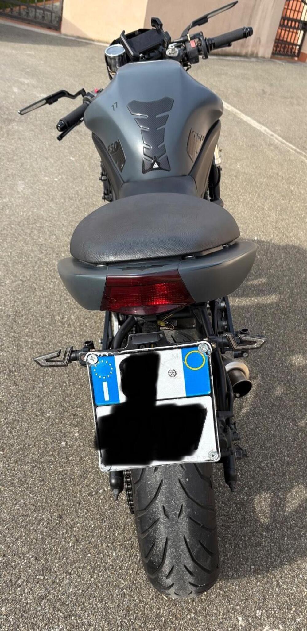 Kawasaki ER-6N (2006 - 09) (8)