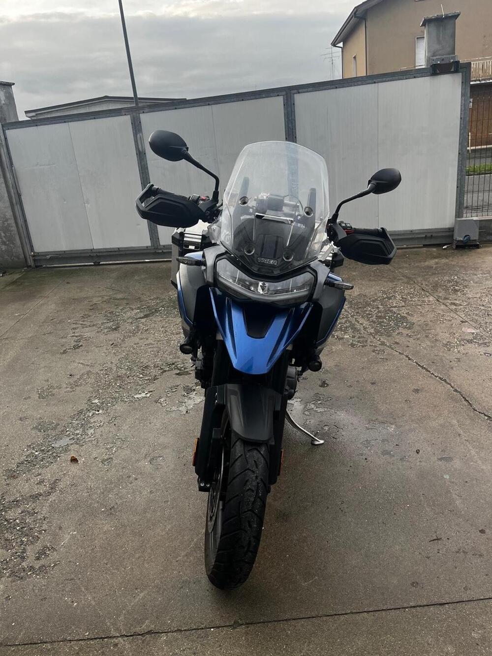 Triumph Tiger 1200 GT Pro (2022 - 23) (5)