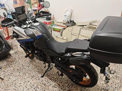 Voge Valico 525DSX (2023 - 26) usata