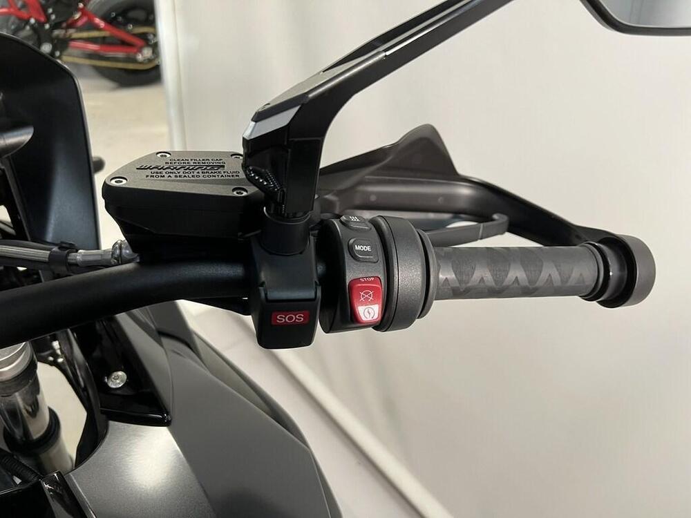 Bmw R 1250 GS (2021 - 24) (9)