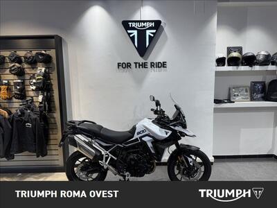 Triumph Tiger 900 GT Pro (2024 - 26) usata