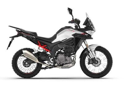 Morbidelli T352X (2026) nuova