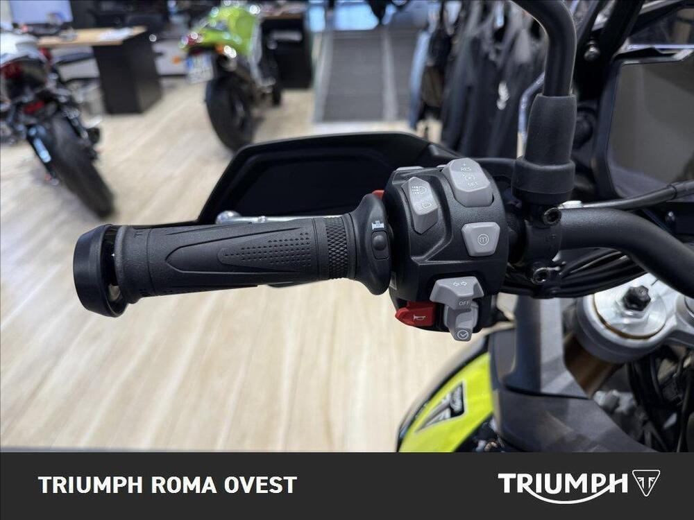Triumph Tiger 900 Rally Pro (2024 - 26) (17)