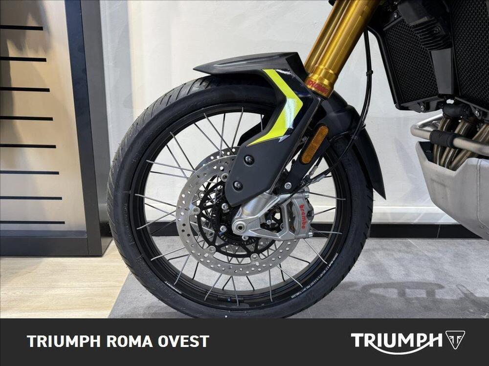 Triumph Tiger 900 Rally Pro (2024 - 26) (12)