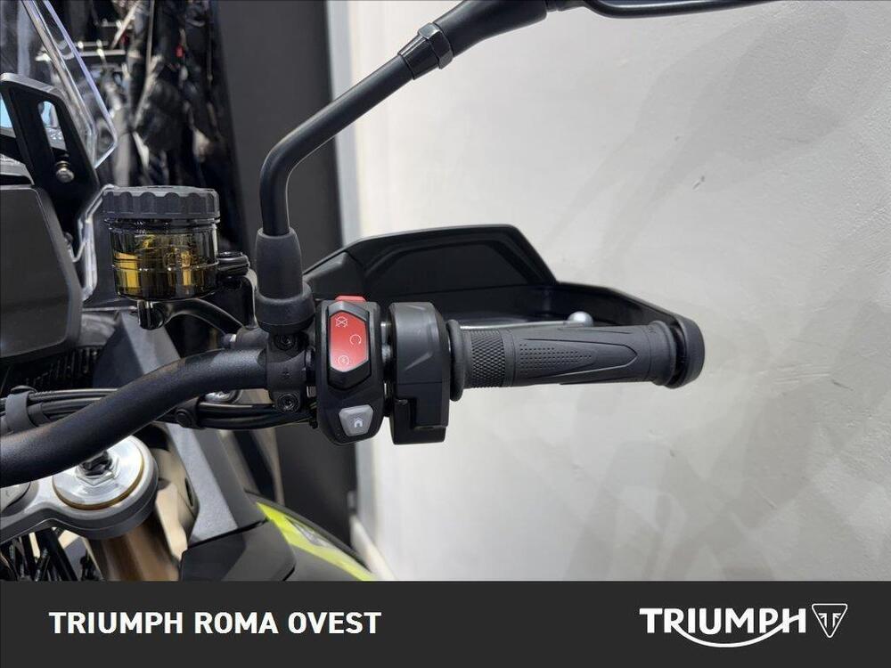 Triumph Tiger 900 Rally Pro (2024 - 26) (18)