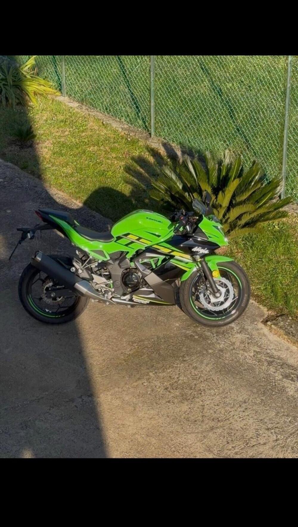 Kawasaki Ninja 125 (2019 - 20) (2)