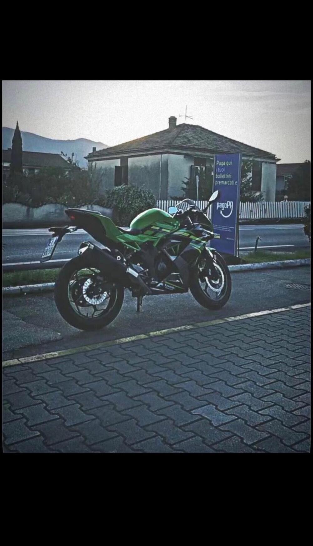 Kawasaki Ninja 125 (2019 - 20) (3)
