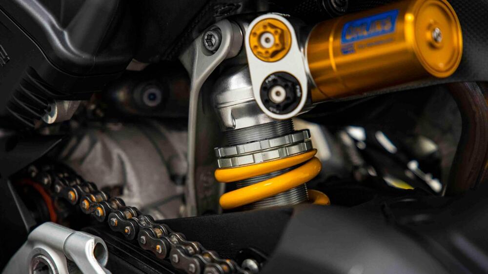 Ducati Panigale V4 R 1000 (2019 - 20) (15)