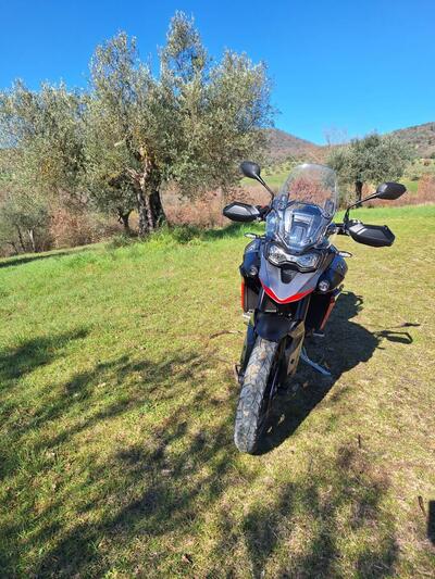 Triumph Tiger 900 GT Pro (2024 - 26) usata