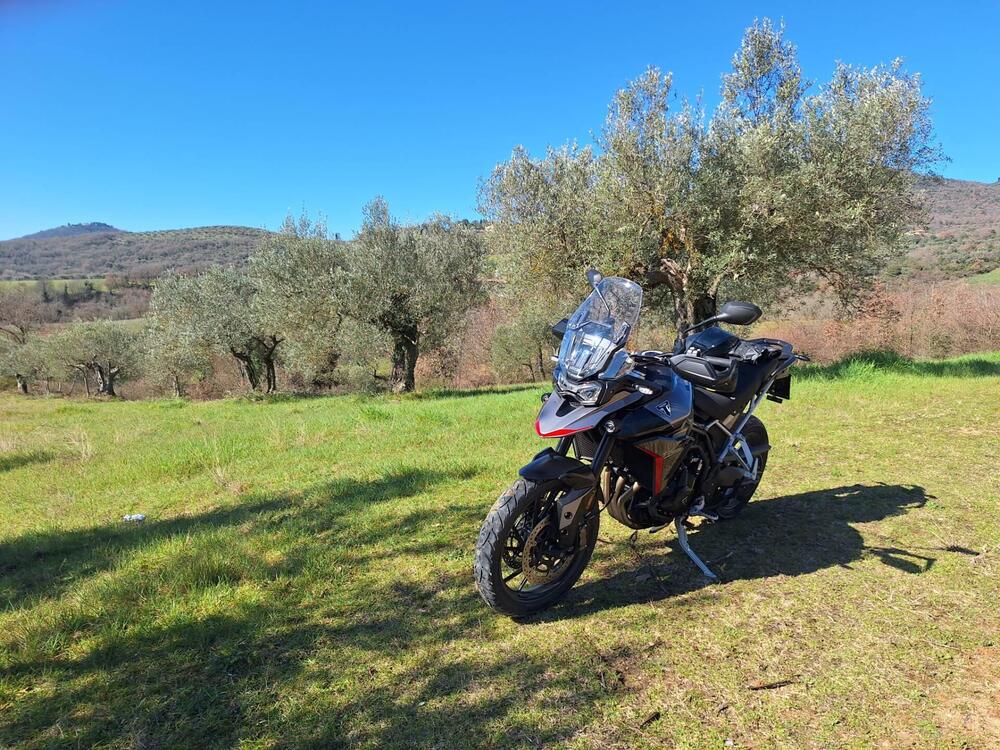 Triumph Tiger 900 GT Pro (2024 - 26) (2)