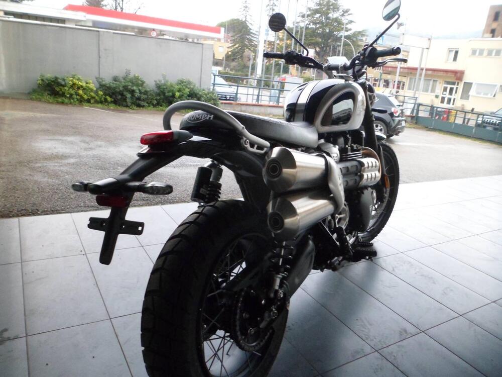 Triumph Scrambler 1200 X Icon Edition (2025 - 26) (3)