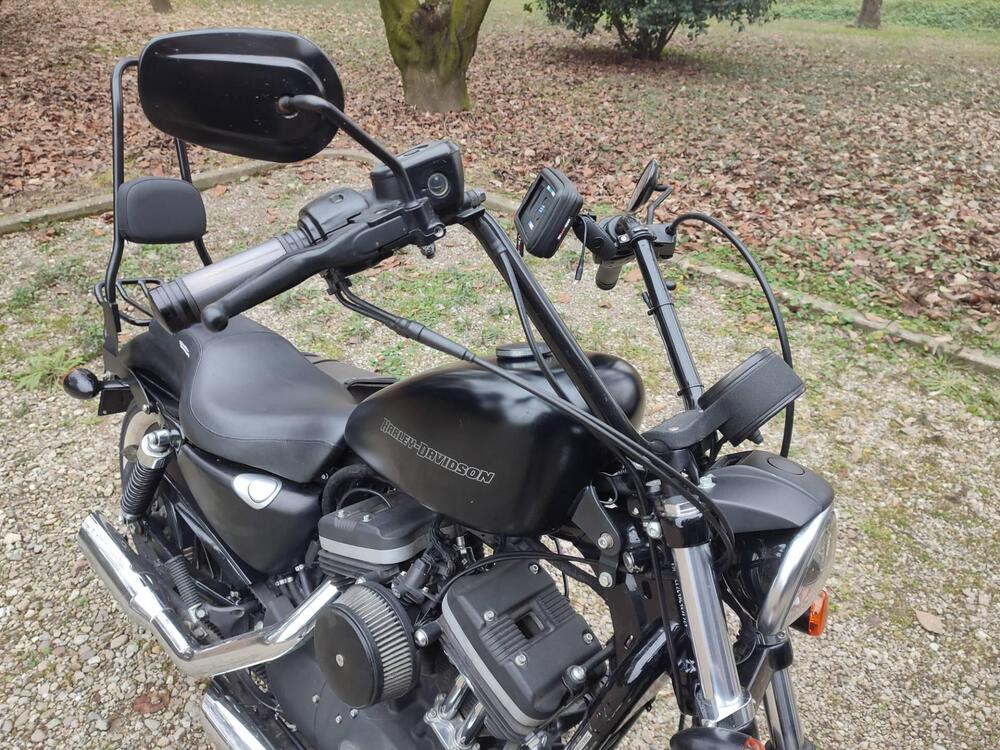 Harley-Davidson 883 (2008 - 09) - XL (2)