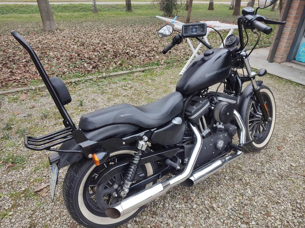 Harley-Davidson 883 (2008 - 09) - XL (4)