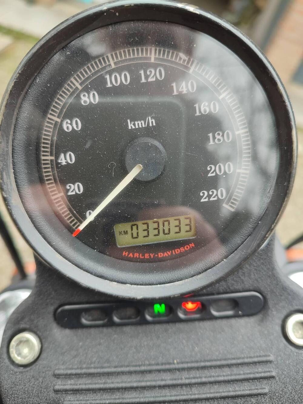 Harley-Davidson 883 (2008 - 09) - XL (9)