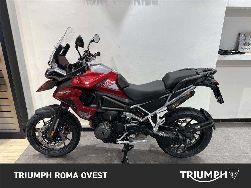 Triumph Tiger 1200 GT Pro (2024 - 26)
