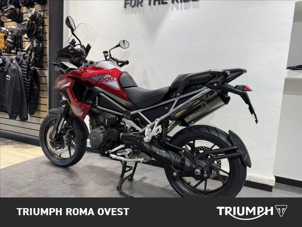 Triumph Tiger 1200 GT Pro (2024 - 26) (3)