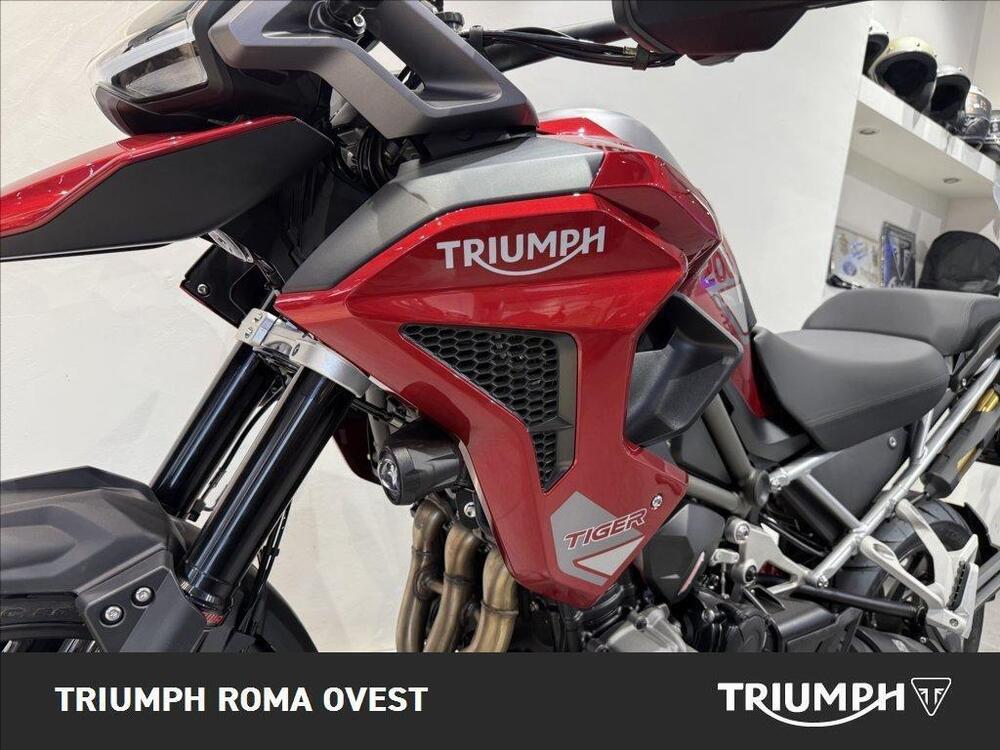 Triumph Tiger 1200 GT Pro (2024 - 26) (6)