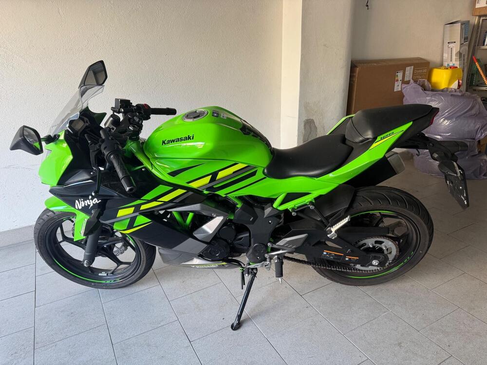 Kawasaki Ninja 125 (2021 - 24) (2)
