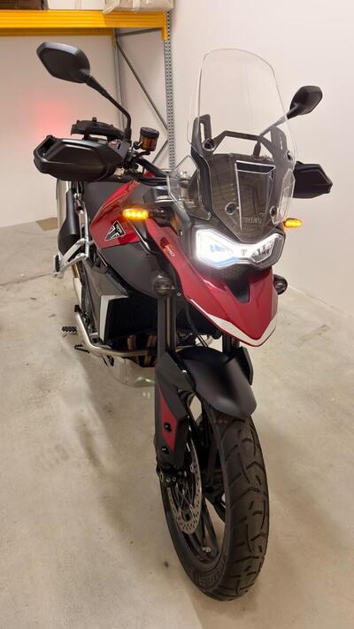 Triumph Tiger 900 GT Pro (2024 - 26) usata