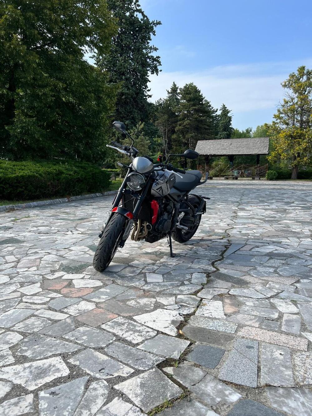 Triumph Trident 660 (2021 - 24) (3)