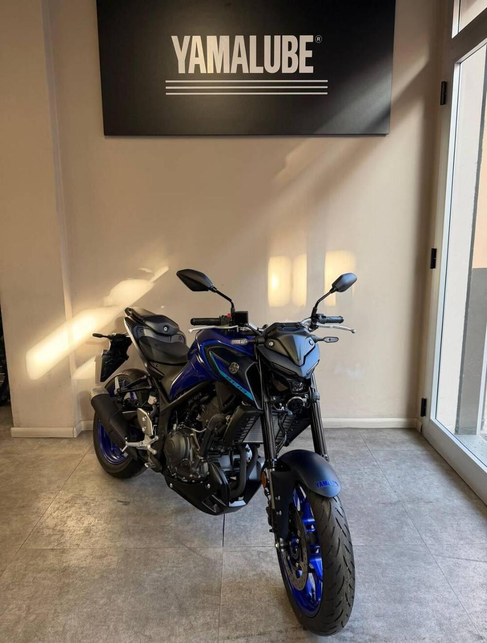 Yamaha MT-03 (2025 - 26) (4)