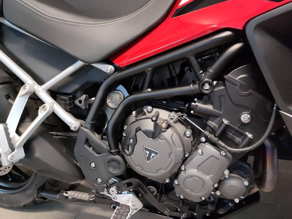 Triumph Tiger 900 GT (2020 - 23) (5)