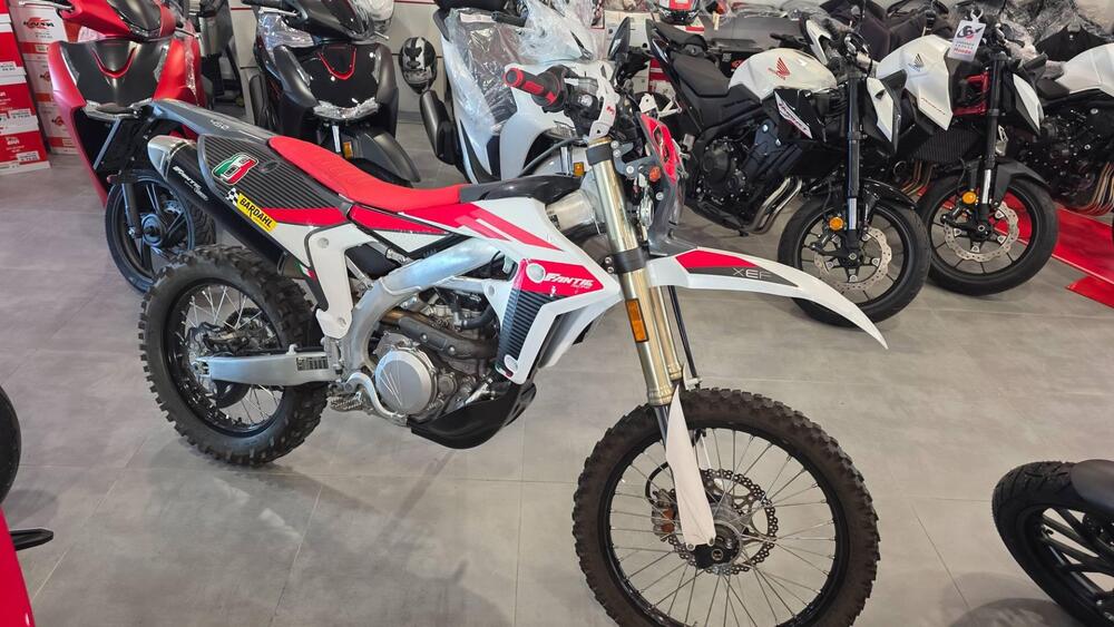 Fantic Motor XEF 450 (2024) (2)