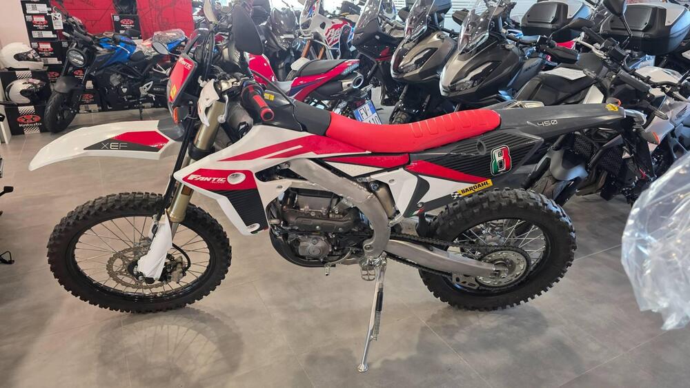 Fantic Motor XEF 450 (2024) (3)