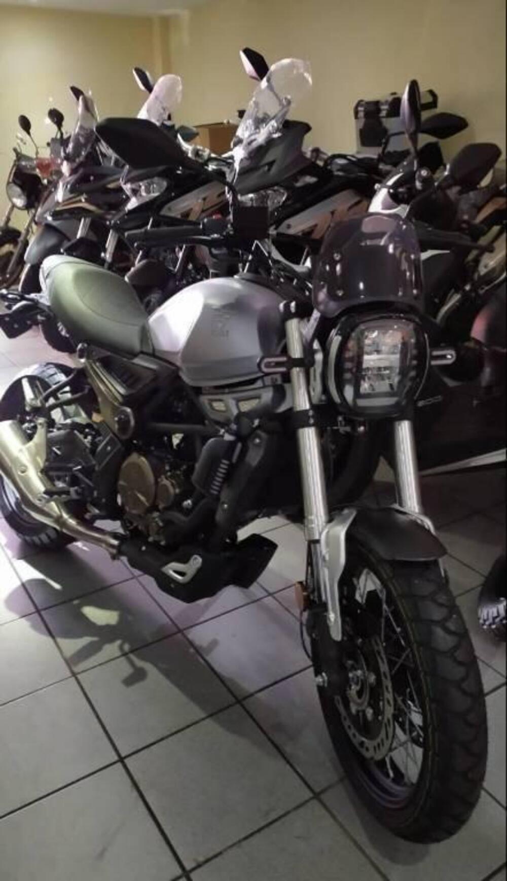 Voge Trofeo 300ACX Scrambler (2021 - 26) (2)