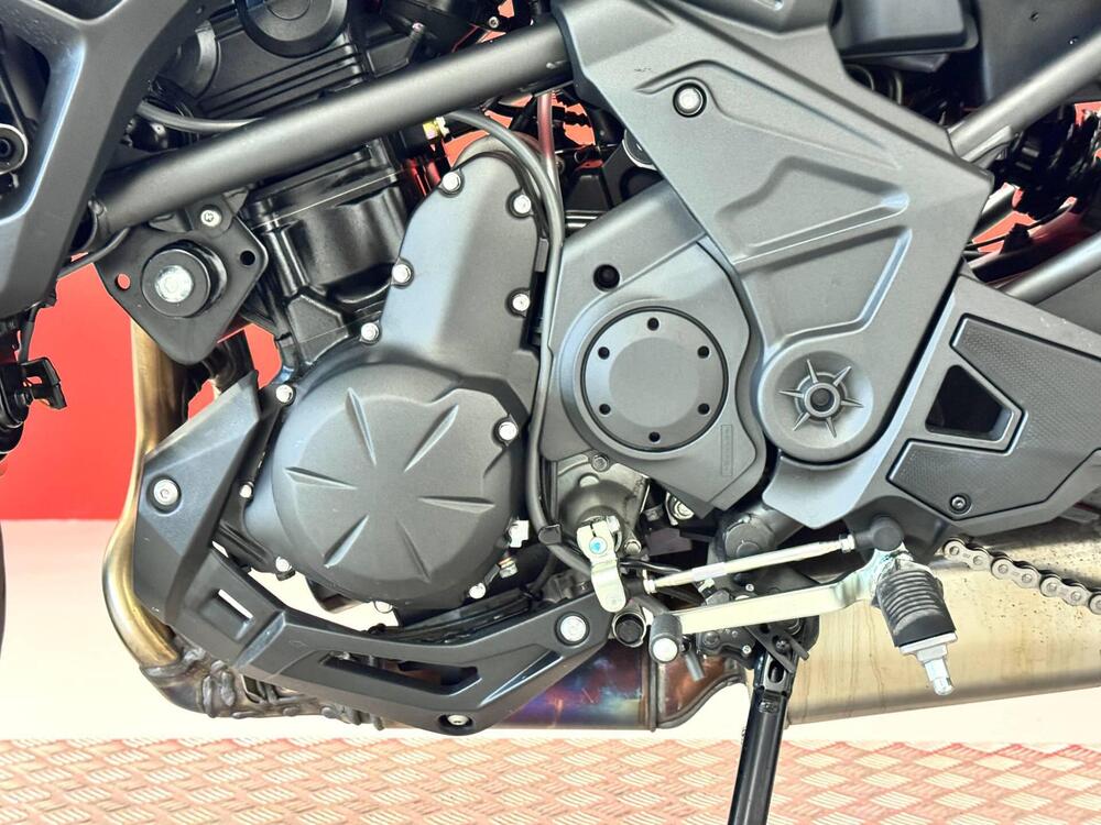 Kawasaki Versys 650 Grand Tourer (2022 - 24) (15)