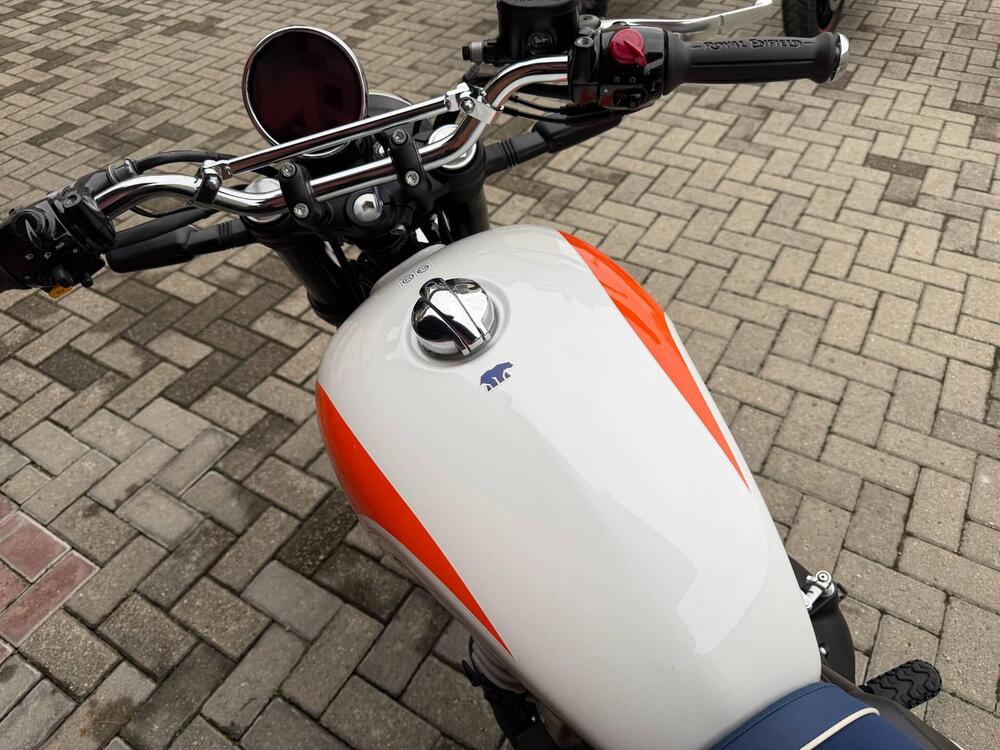 Royal Enfield Bear 650 (2025 - 26) (7)