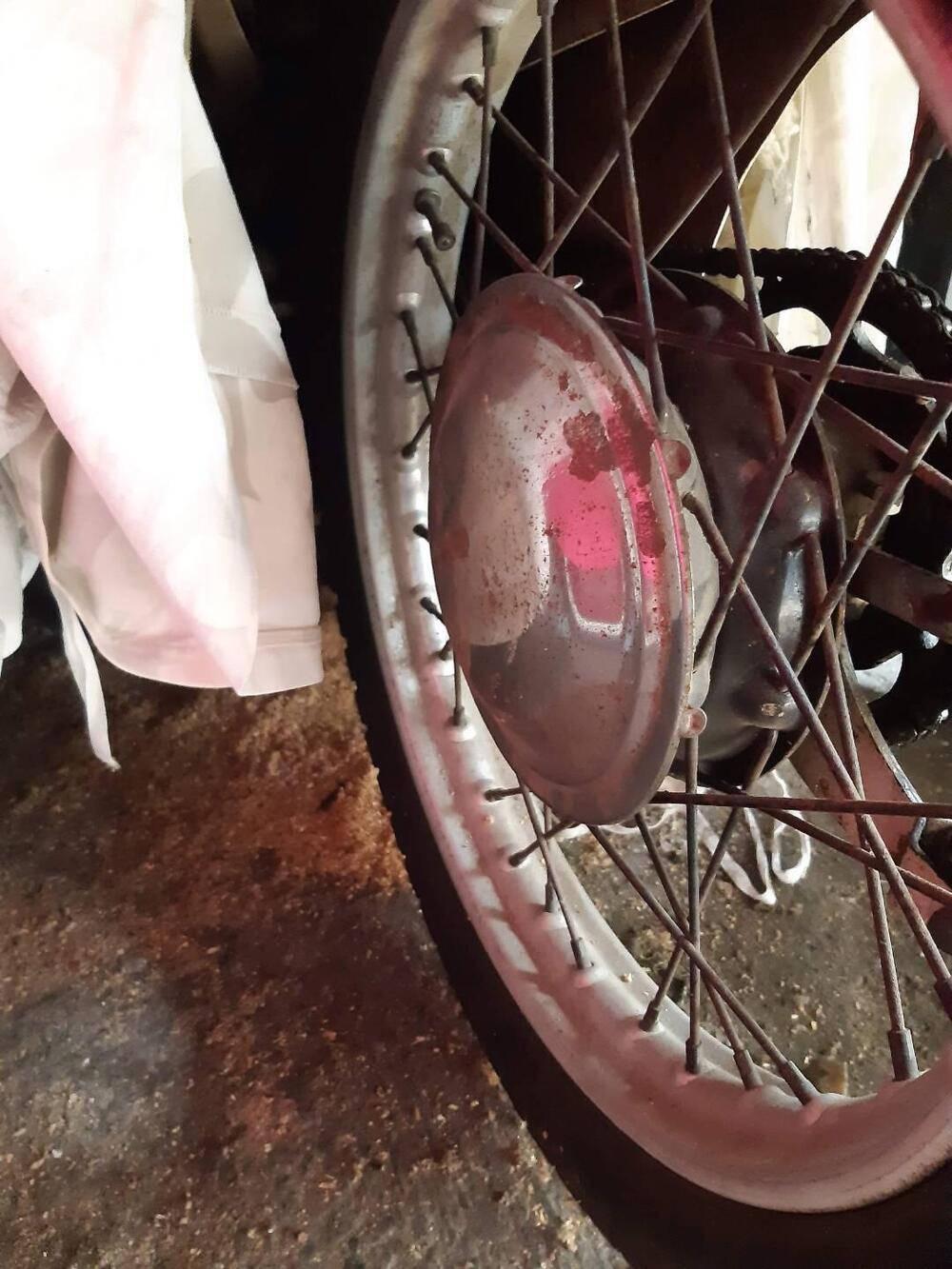 Moto Guzzi Galletto  (15)