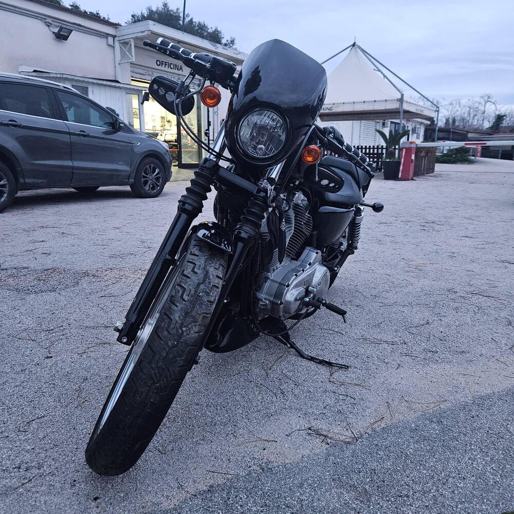 Harley-Davidson 883 Low (2008 - 12) - XL 883L (2)