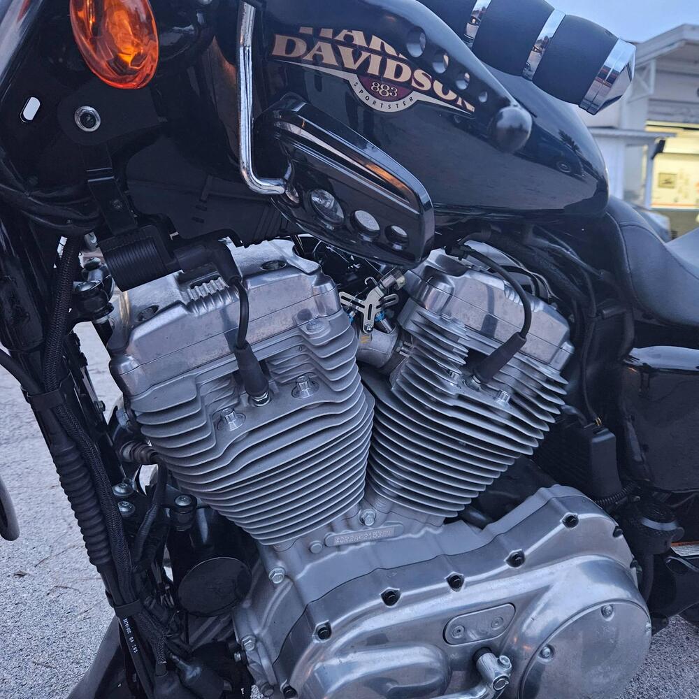 Harley-Davidson 883 Low (2008 - 12) - XL 883L (4)