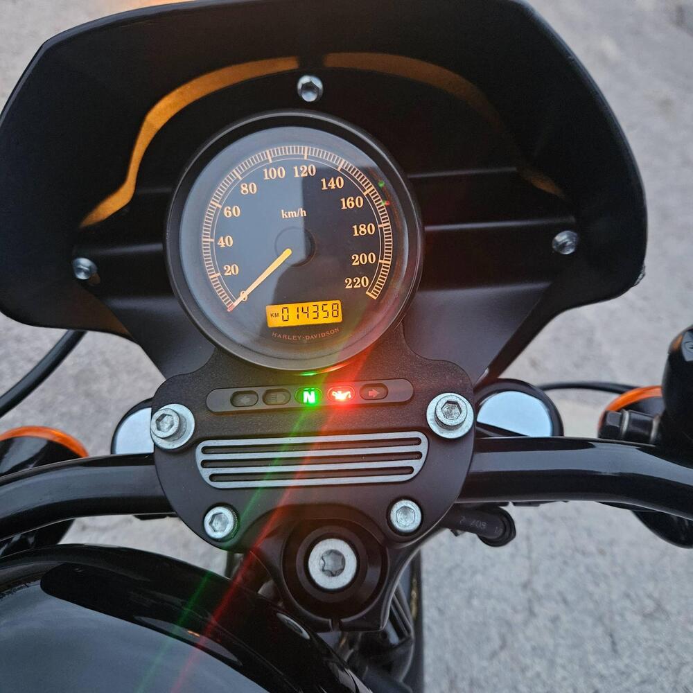 Harley-Davidson 883 Low (2008 - 12) - XL 883L (5)